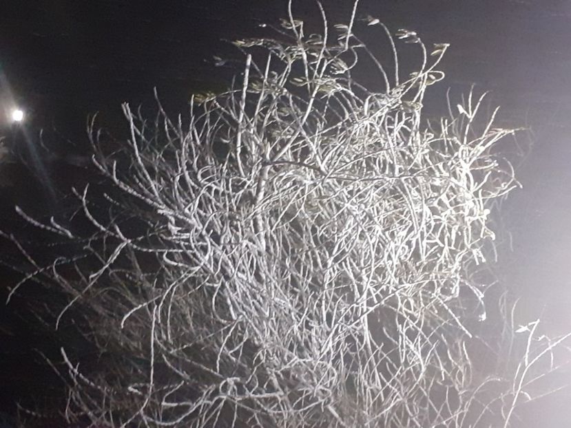  - Prima zăpadă decembrie 2021