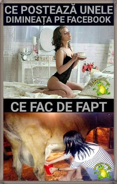  - Divertisment 6