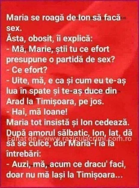  - Divertisment 6
