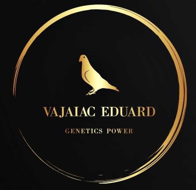 Logo - Crescatoria Vajaiac Eduard - Contact - Eduard Vajaiac 2024