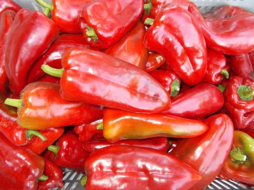  - SEMINTE ARDEI - A 40 DULCE D ESPAGNA