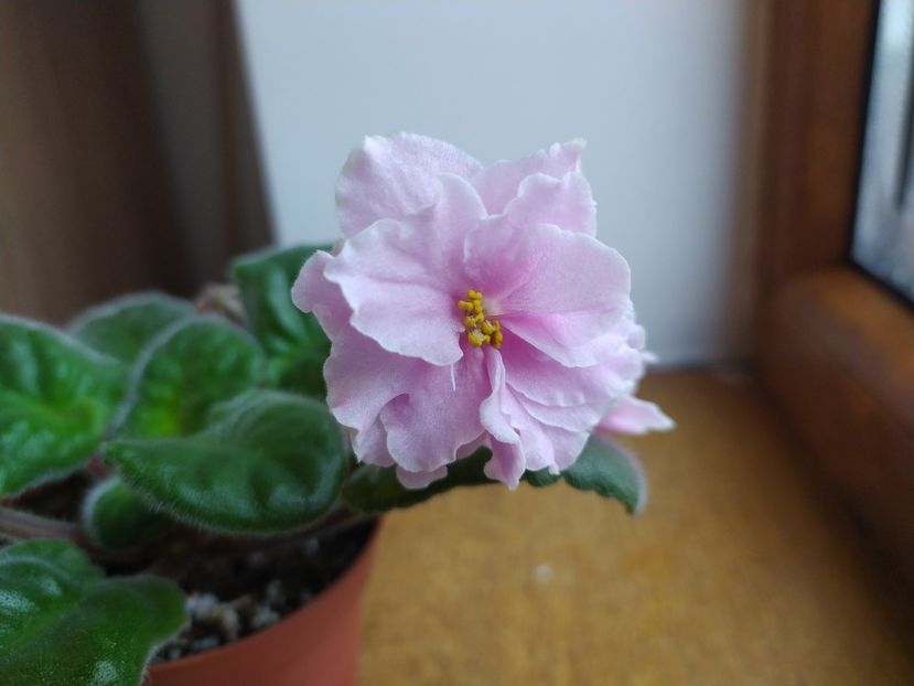 6 ianuarie 2022 - ZZZ ____EK Lubasha OUT