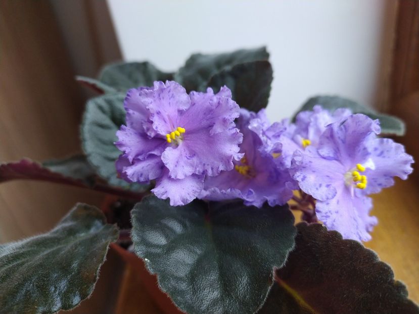 6 ianuarie 2022 - Stormy Weather