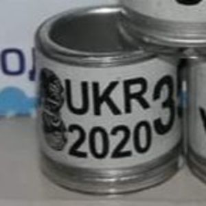 2020-Ucraina - Ucraina