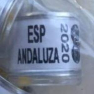 2020-Spania - Spania