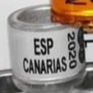 2020-Spania - Spania