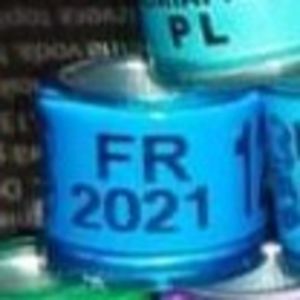 2021-FRANTA - Franta
