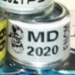 2020-Moldova - Moldova