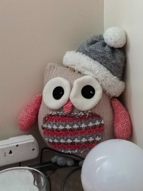 IMG20211221131938 - În vizită la Anca 2021-2022