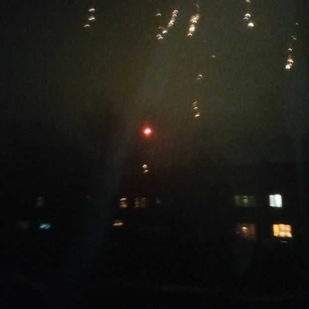 IMG20220101000149 - În vizită la Anca 2021-2022