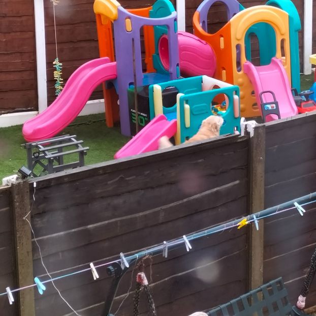 IMG20211230145252 - În vizită la Anca 2021-2022