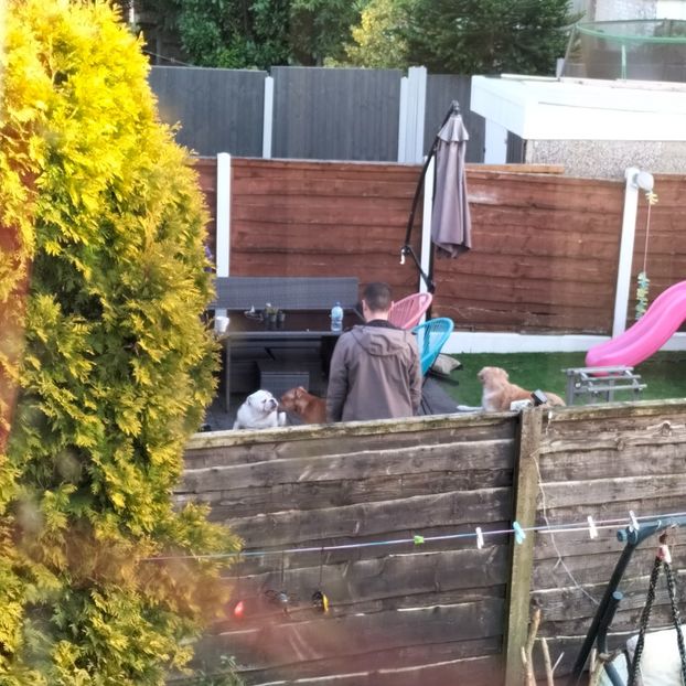 IMG20211229150823 - În vizită la Anca 2021-2022