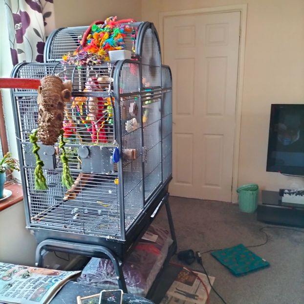 IMG20211227111330 - În vizită la Anca 2021-2022