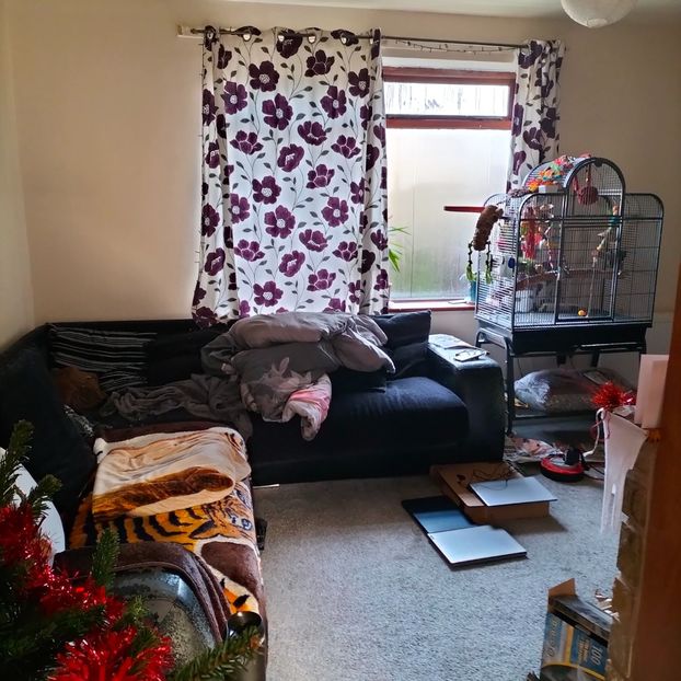 IMG20211227111305 - În vizită la Anca 2021-2022