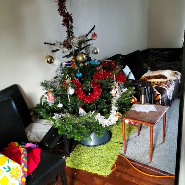 IMG20211227111258 - În vizită la Anca 2021-2022