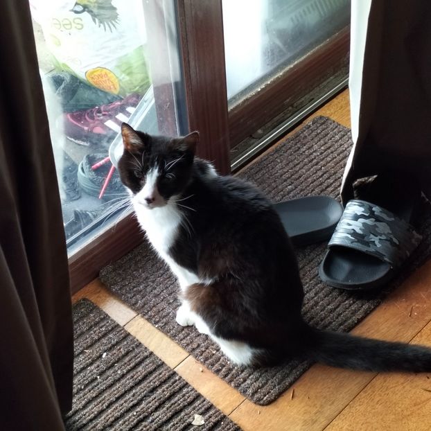 IMG20211227111114 - În vizită la Anca 2021-2022