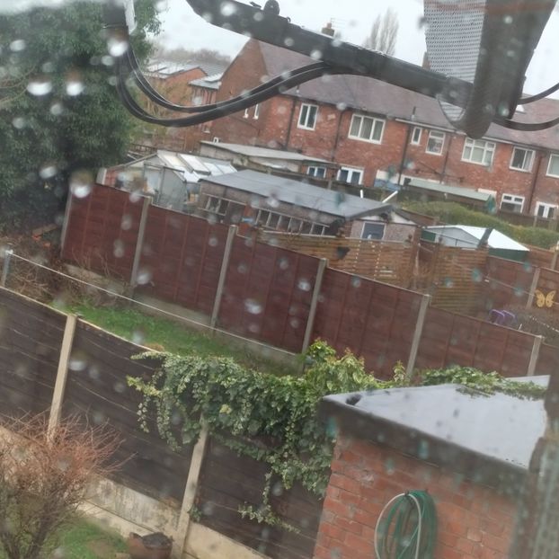 IMG20211226115149 - În vizită la Anca 2021-2022