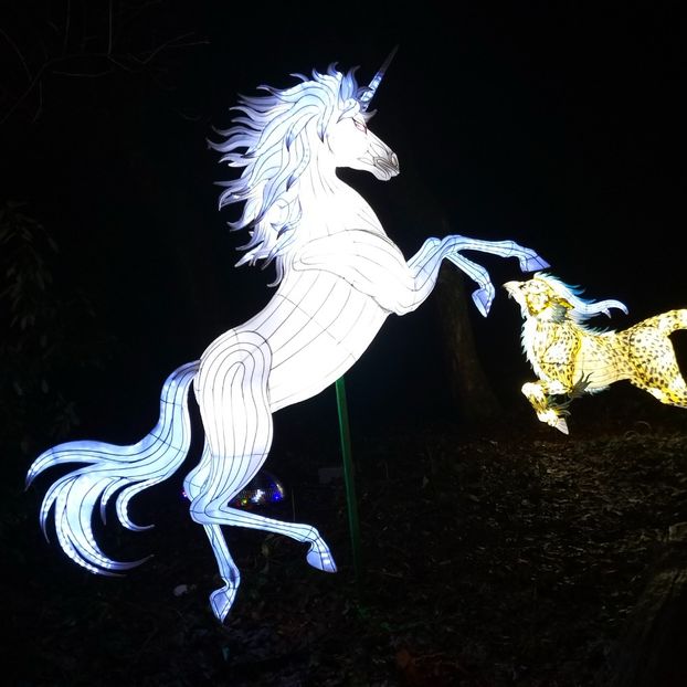 IMG20211223175539 - În vizită la Anca 2021-2022