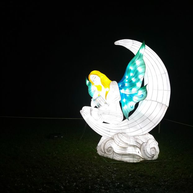 IMG20211223173552 - În vizită la Anca 2021-2022