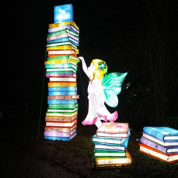 IMG20211223173522 - În vizită la Anca 2021-2022