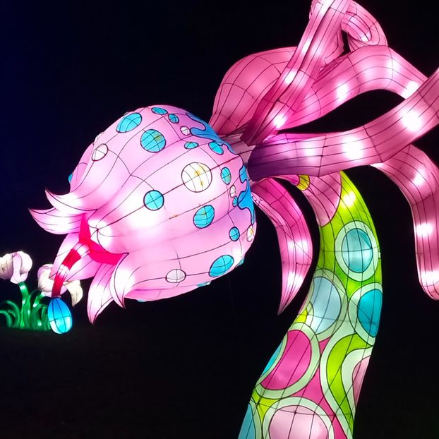 IMG20211223172433 - În vizită la Anca 2021-2022