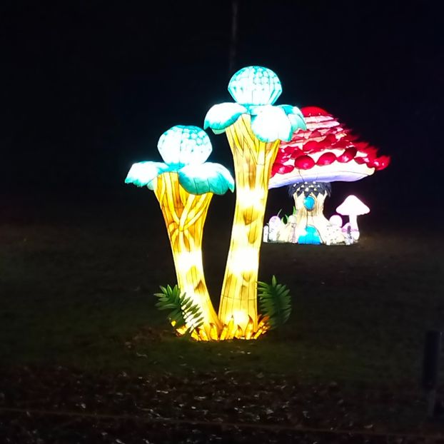 IMG20211223172409 - În vizită la Anca 2021-2022