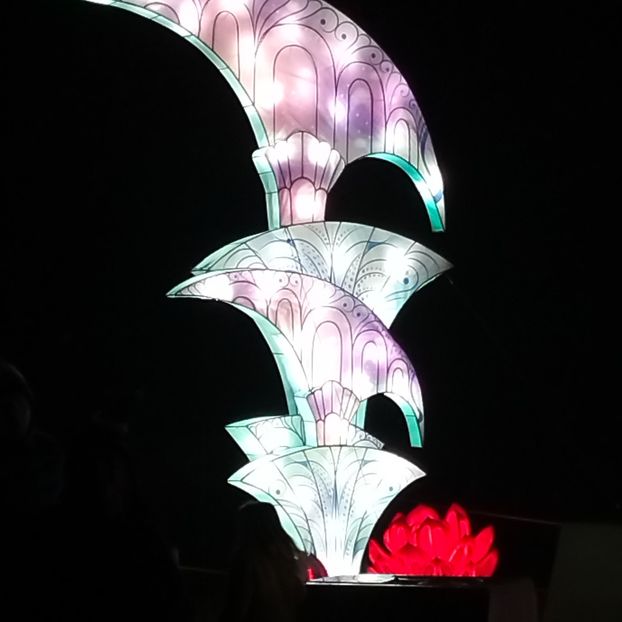 IMG20211223172223 - În vizită la Anca 2021-2022