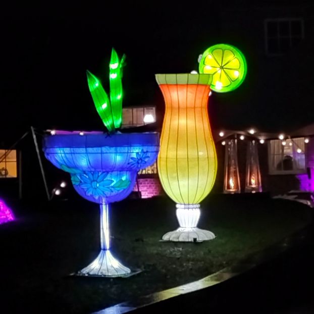 IMG20211223172139 - În vizită la Anca 2021-2022