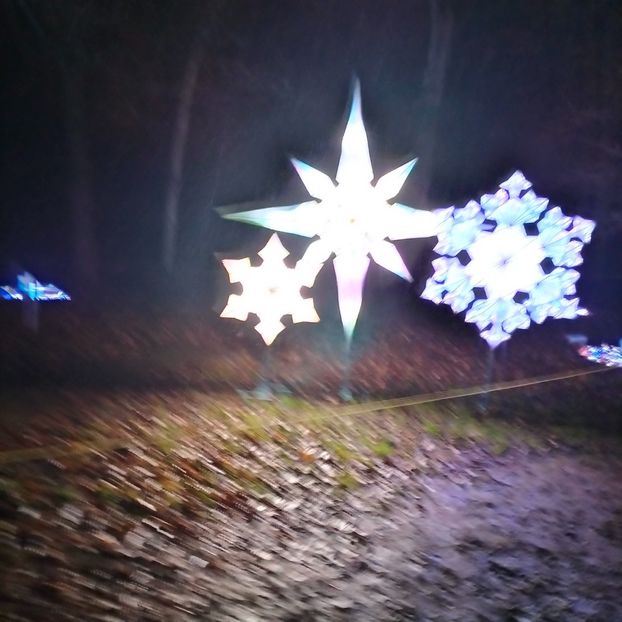 IMG20211223170714 - În vizită la Anca 2021-2022