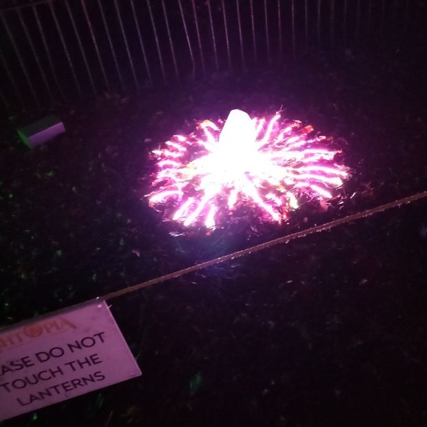 IMG20211223170556 - În vizită la Anca 2021-2022