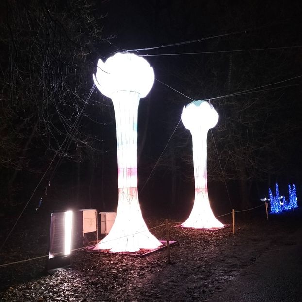 IMG20211223170435 - În vizită la Anca 2021-2022