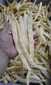  - SEMINTE FASOLE PASTAI - D 187 JULISKA