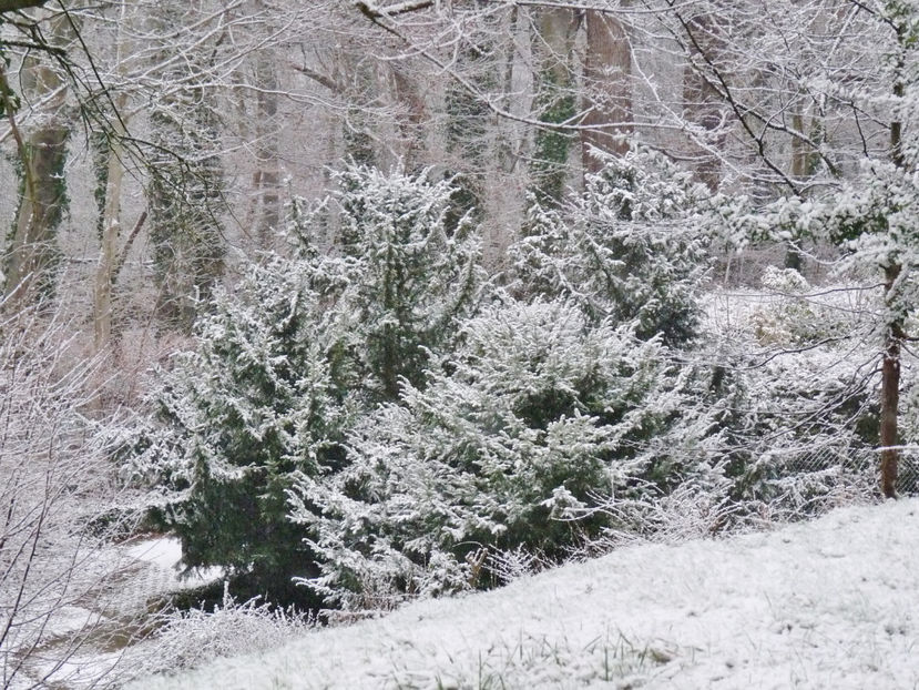  - 2021 - 04 - 2022 - 00 - Iarna