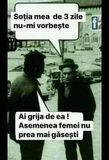  - Divertisment 6