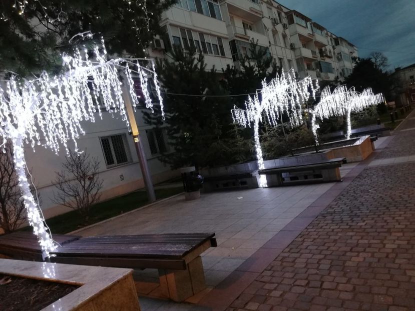  - Târgu de Craciun