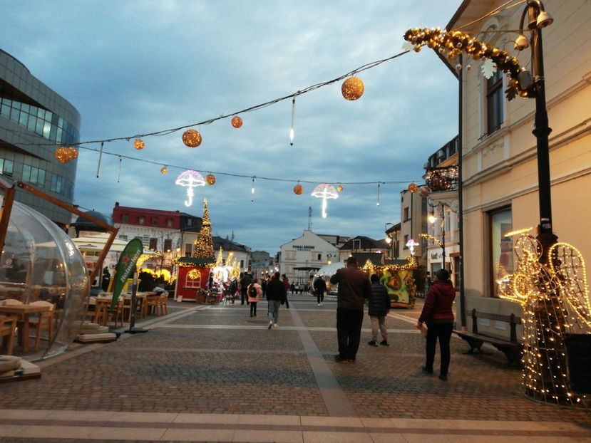  - Târgu de Craciun