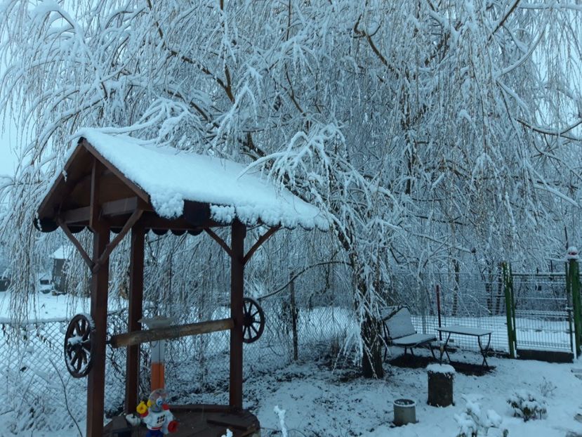  - Iarna 2021 2022