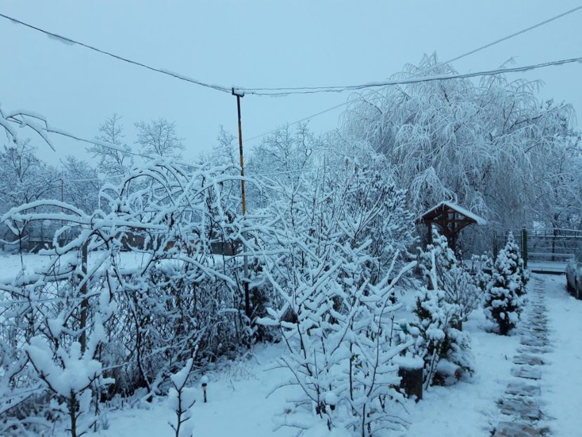  - Iarna 2021 2022
