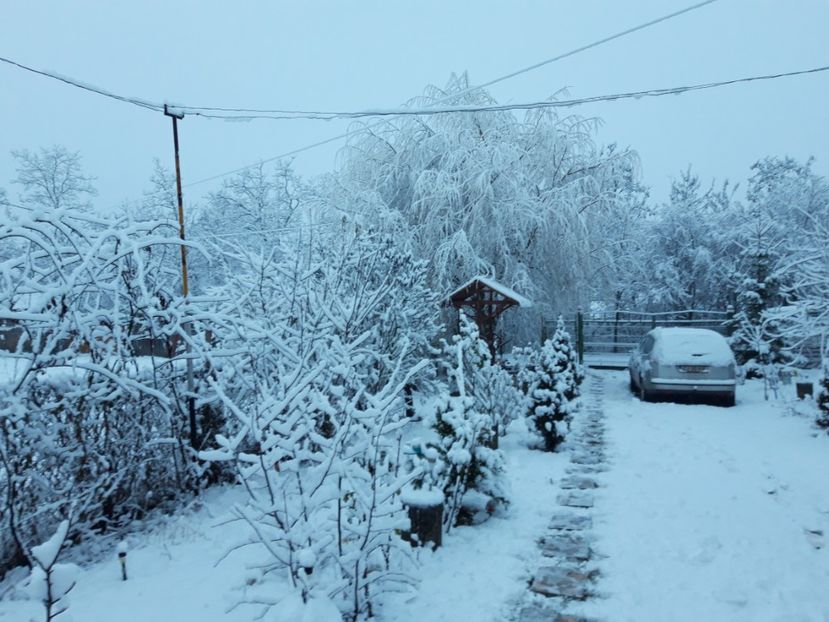  - Iarna 2021 2022
