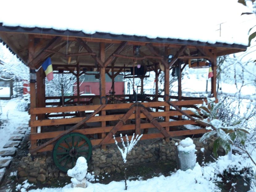 - Iarna 2021 2022