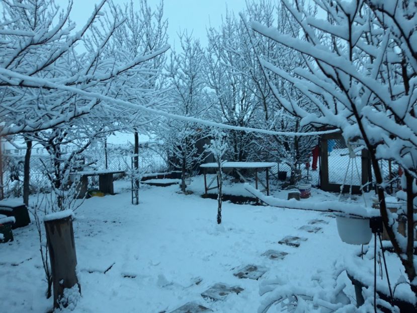  - Iarna 2021 2022