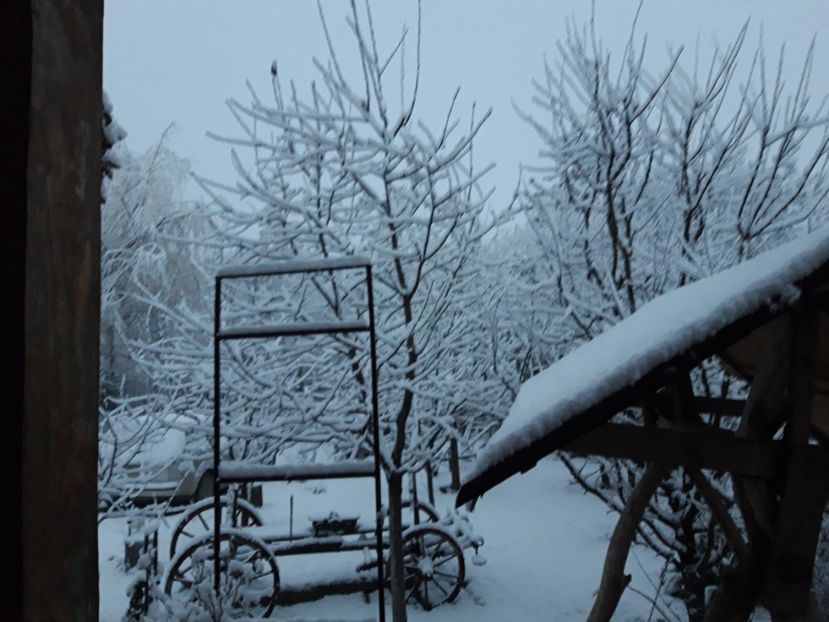  - Iarna 2021 2022