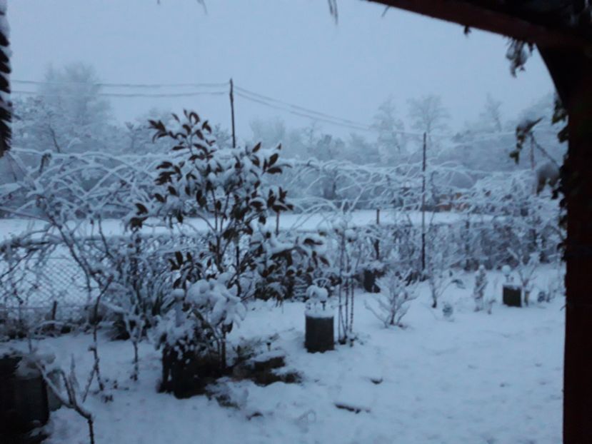  - Iarna 2021 2022