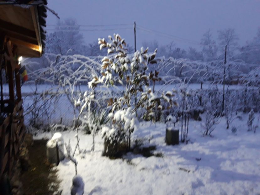  - Iarna 2021 2022