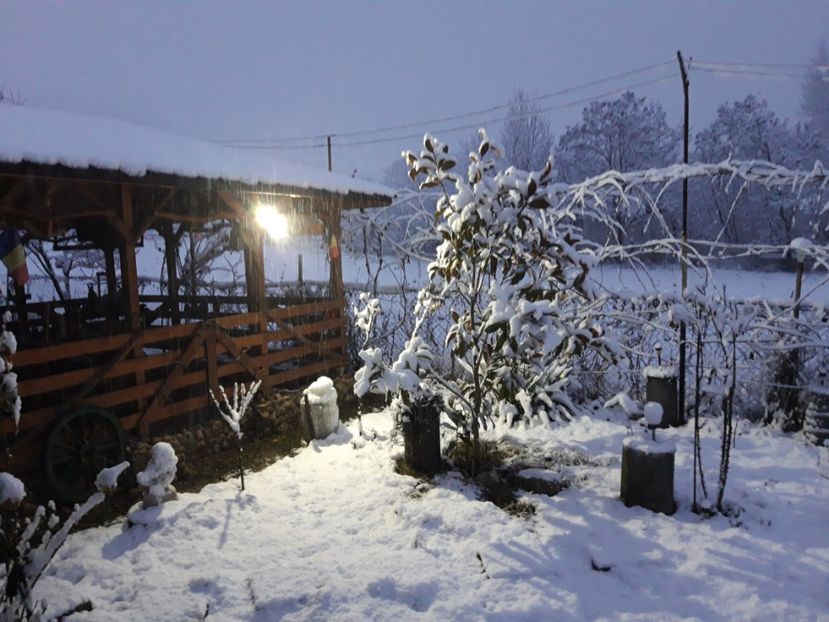  - Iarna 2021 2022