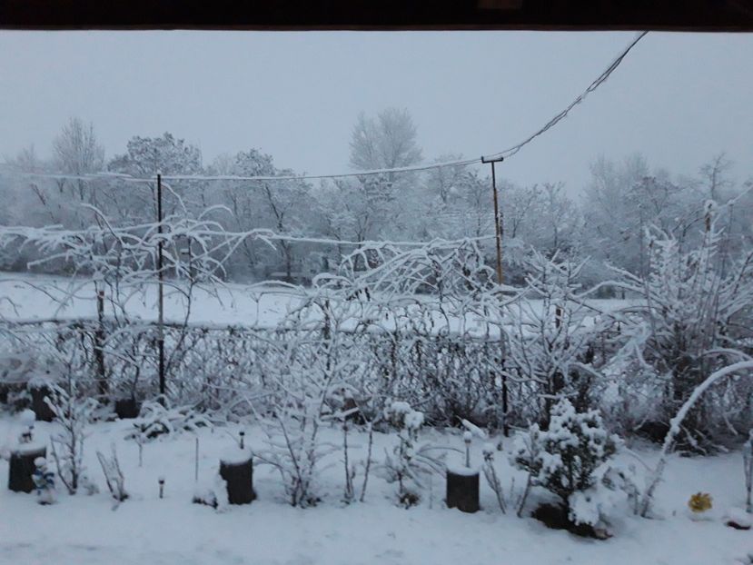  - Iarna 2021 2022