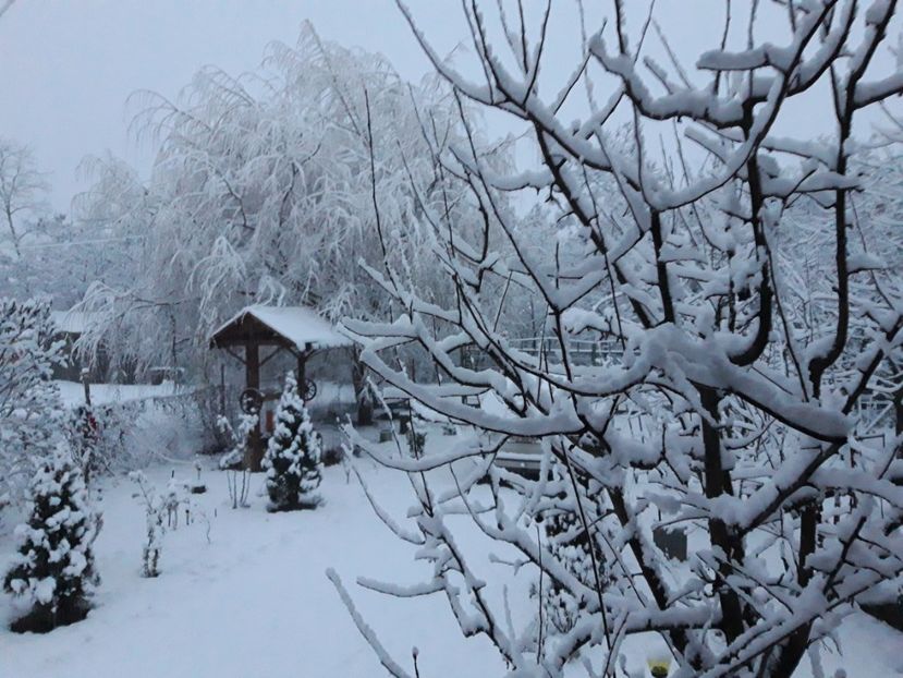  - Iarna 2021 2022