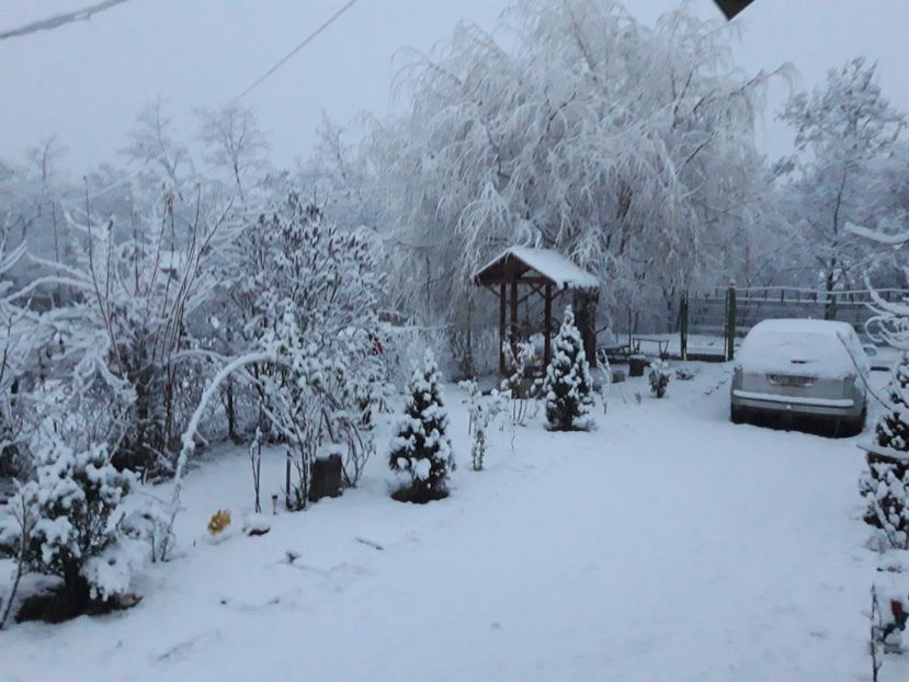  - Iarna 2021 2022