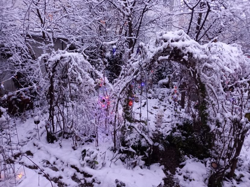 ...seara - Grădina 2022