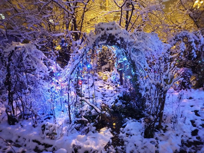 ...noaptea - Grădina 2022